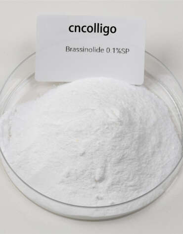 芸苔素内酯（Brassinolide）