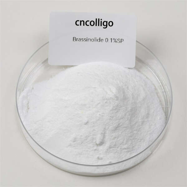 芸苔素内酯（Brassinolide）