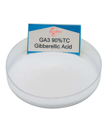 赤霉酸（Gibberellic Acid）