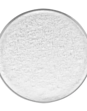 L - 精氨酸（L - Arginine）